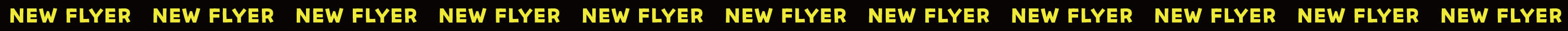 NEW FLYER
